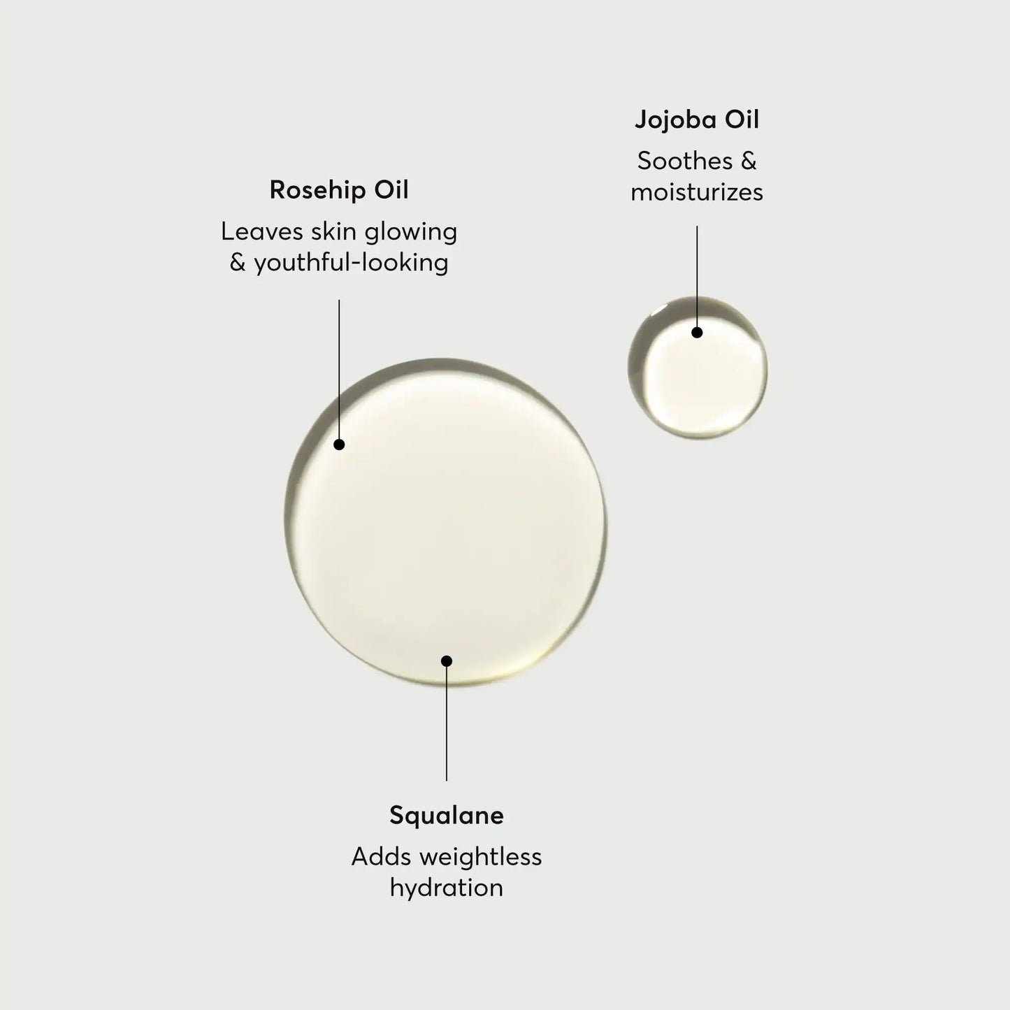 the-glow-getter-body-oil-m5 NATR-10115-Alt-Images-The-Glow-Getter-Body-Oil-01.webp