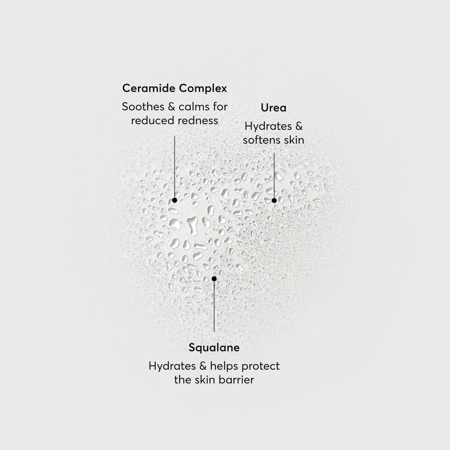 barrier-bounce-bi-phase-mist-g9 NATR-10167-Alt-Images-Barrier-Bounce-Bi-Phase-Toner-Mist_01.webp
