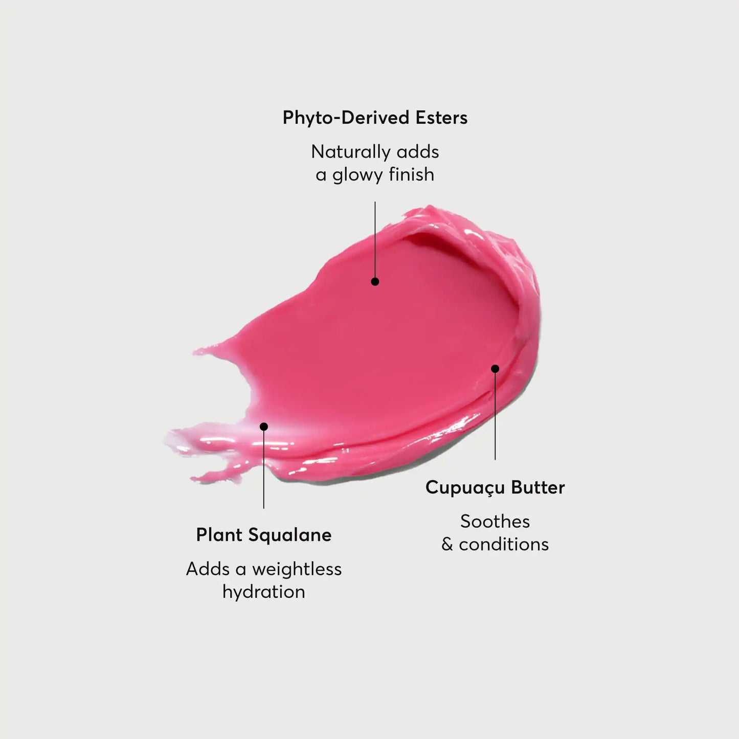 phyto-glow-lip-balm-camellia-a3 NATR-60075-Alt-Images-Phyto-Glow-Lip-Balm-Camellia-01.webp
